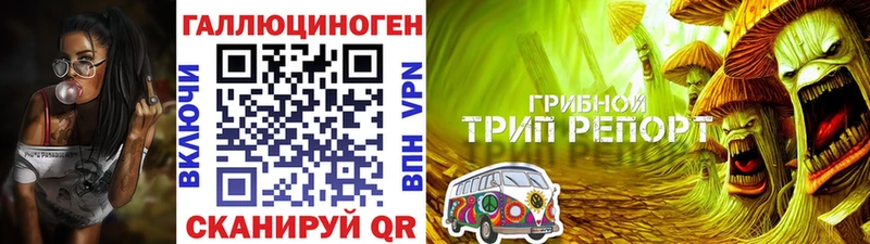 Галлюциногенные грибы GOLDEN TEACHER  Назрань 